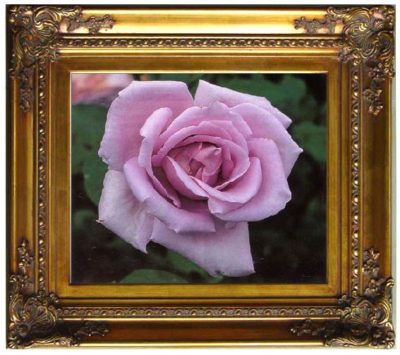 framed  unknow artist Still life floral, all kinds of reality flowers oil painting  272, Ta057